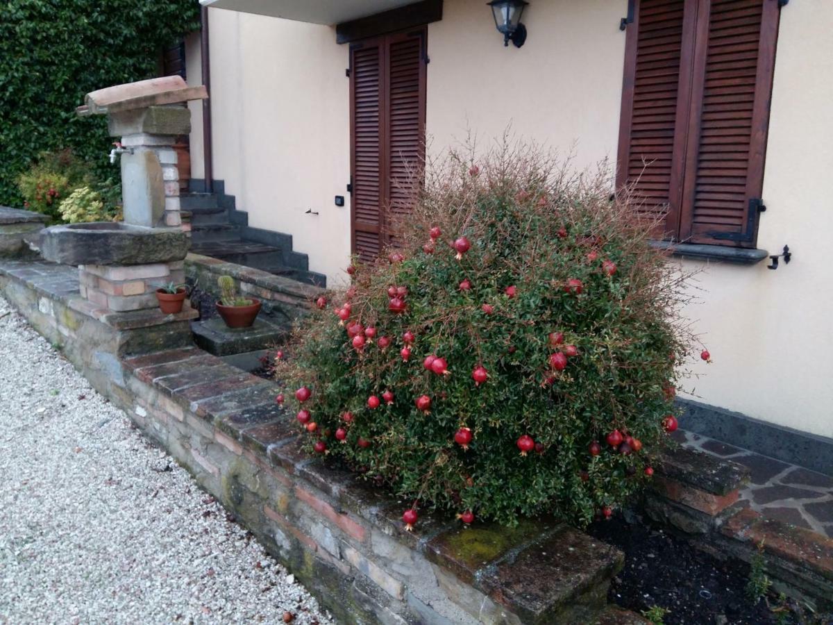 Agriturismo Il Melo Valfabbrica Exterior photo